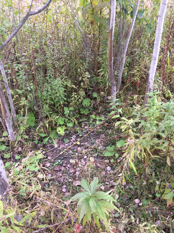 E0BE9273-0AA2-4113-8C3A-3F3DF15ADCF4