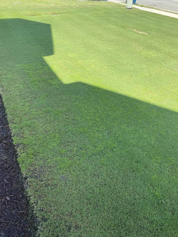 32CCD206-C94D-4D0B-9A3F-DF3C6906A178