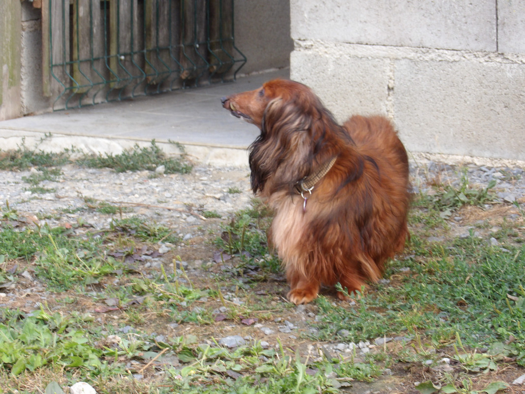 [Image: 125-0037.jpg]