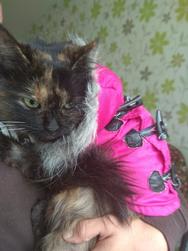 1FDB8D42-986F-4207-A3AD-462E7E06854B