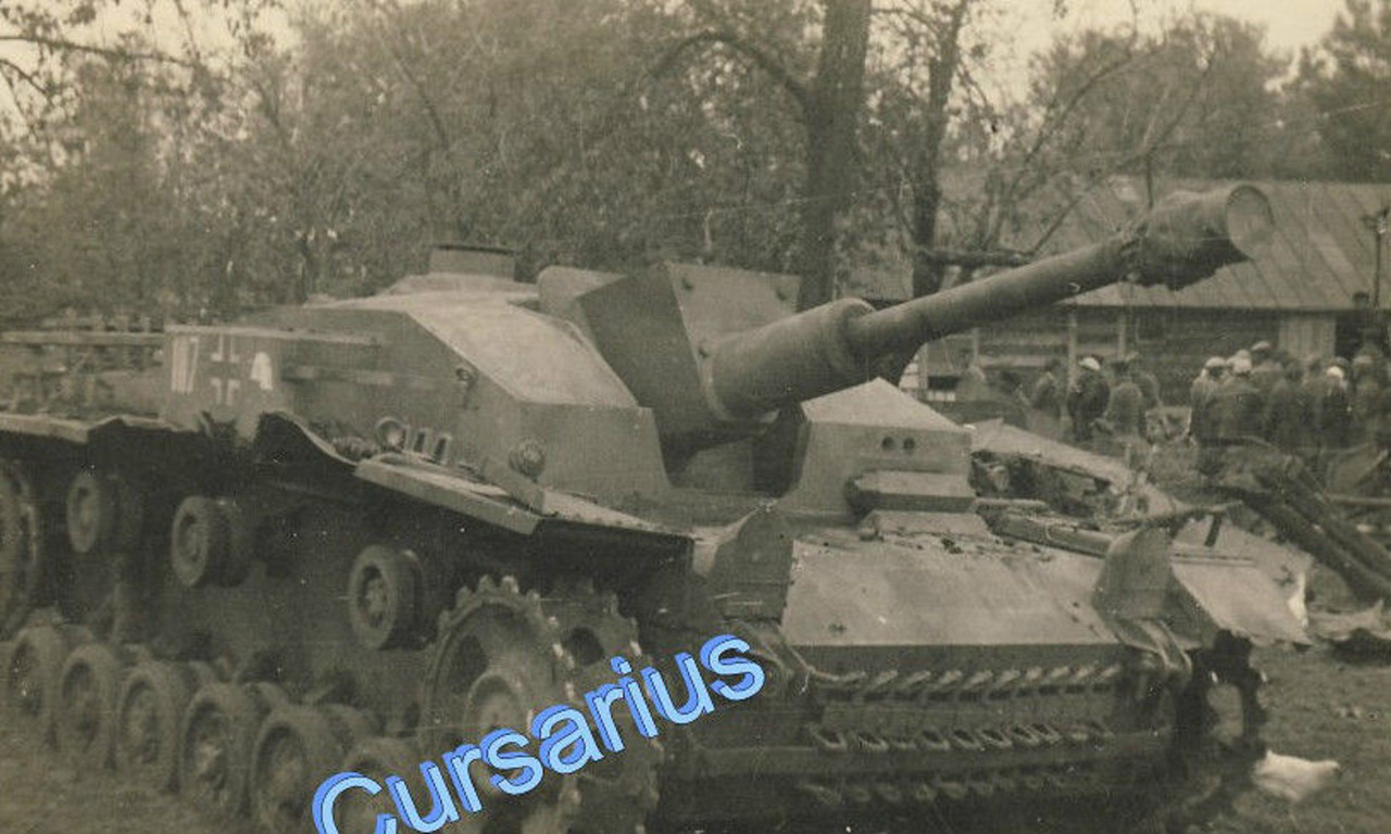 orig. Foto Panzer Sturmgeschütz Stug 42 GD Großd
