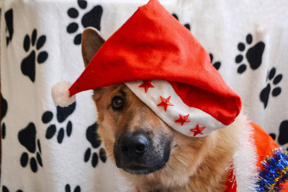 F2BFD238-C785-4504-B5DA-13292946A458