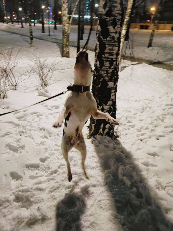 58A7CA7D-559C-42DF-9749-52725ED2FC05