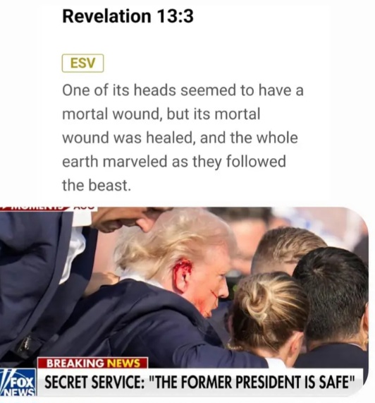[Image: Head.jpg]
