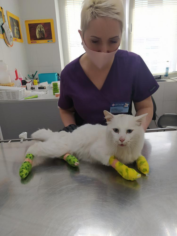 39FE95DD-457F-4EBF-A9AD-10D8E6BDDCAA