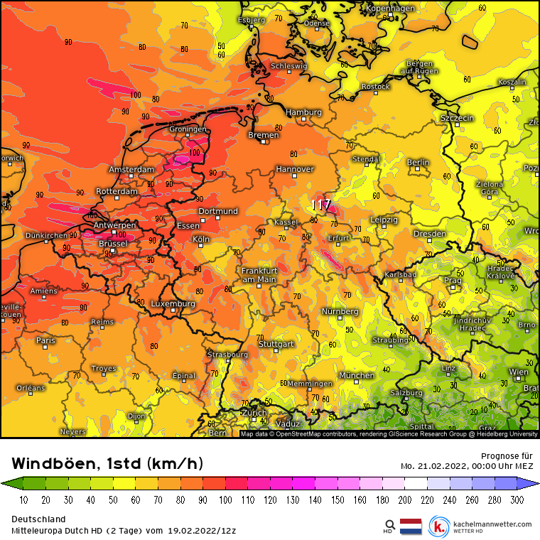 de-model-de-310-1-modharmonie-2022021912-35-2-11.png