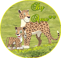 Serie Flia: Madre e Hijo, Los leopardos Zz