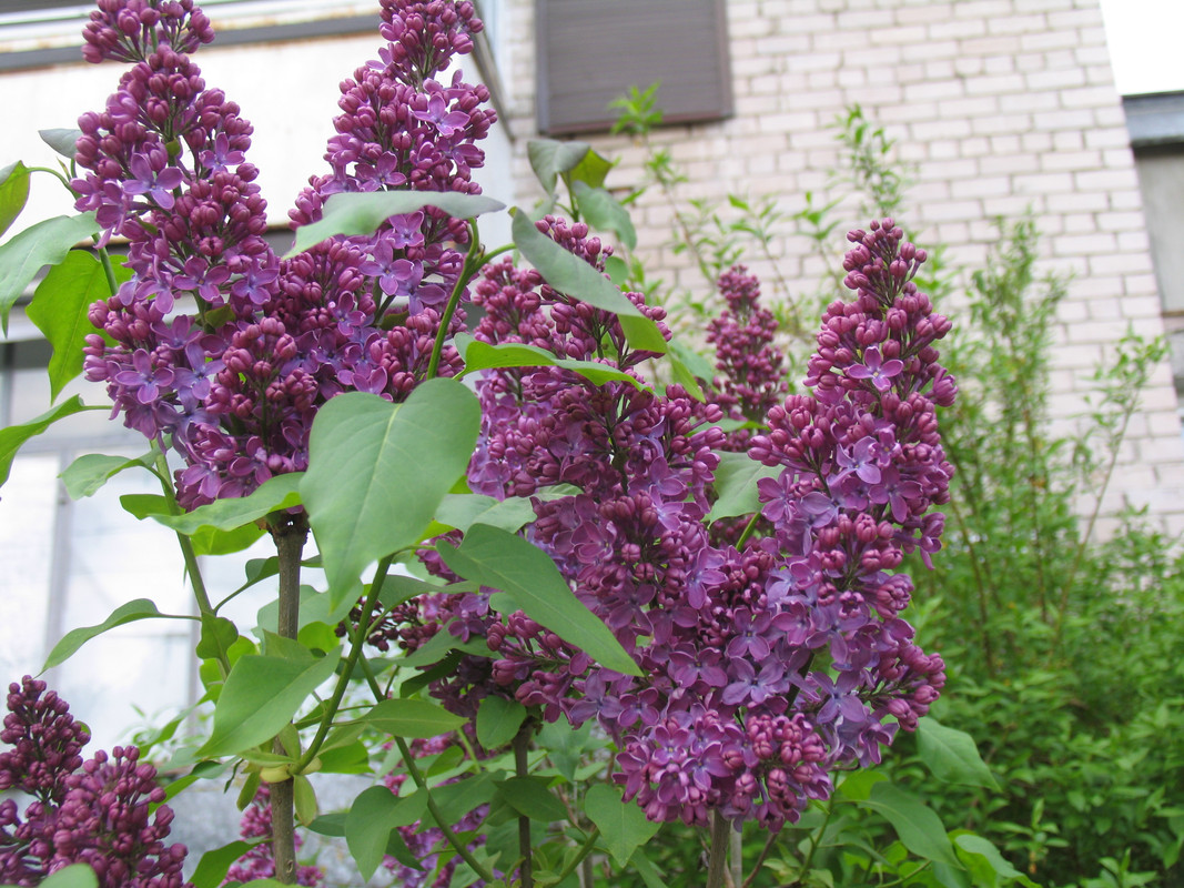 29 апреля 2024 136