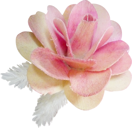 KBK_PrettyRabbit (5)