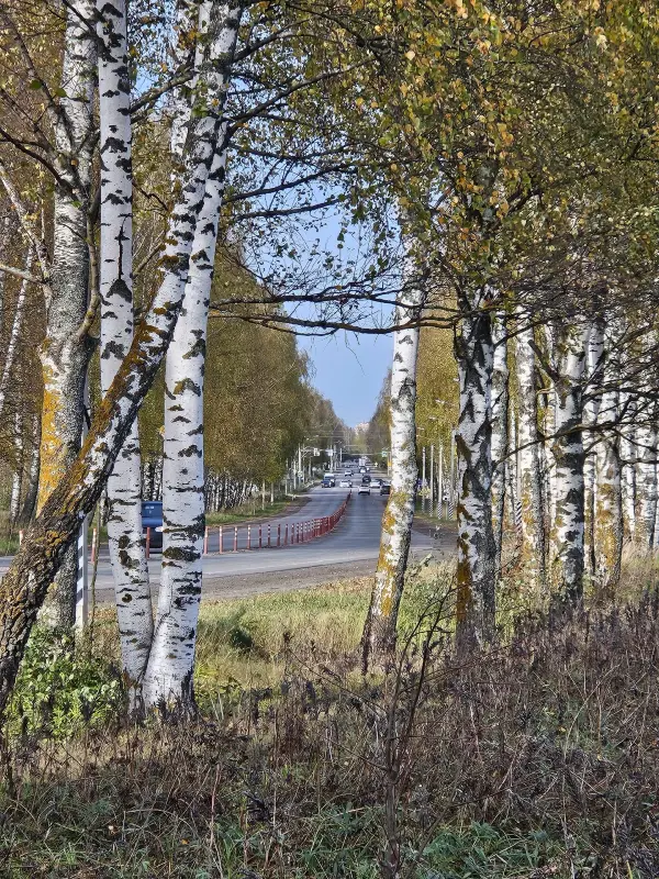 FFoHAPzQMOfzGY9Mo0q_tNkYZoJGUTaFBnEzcgw6jAZaxcWCb7NjYxJuBBsN-6ZJ7A1jeCSE8poZPY4KJSPtLphe