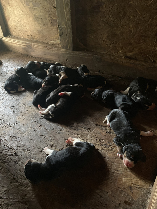 C9387B21-4822-4B2E-813A-26FD6A52F59E