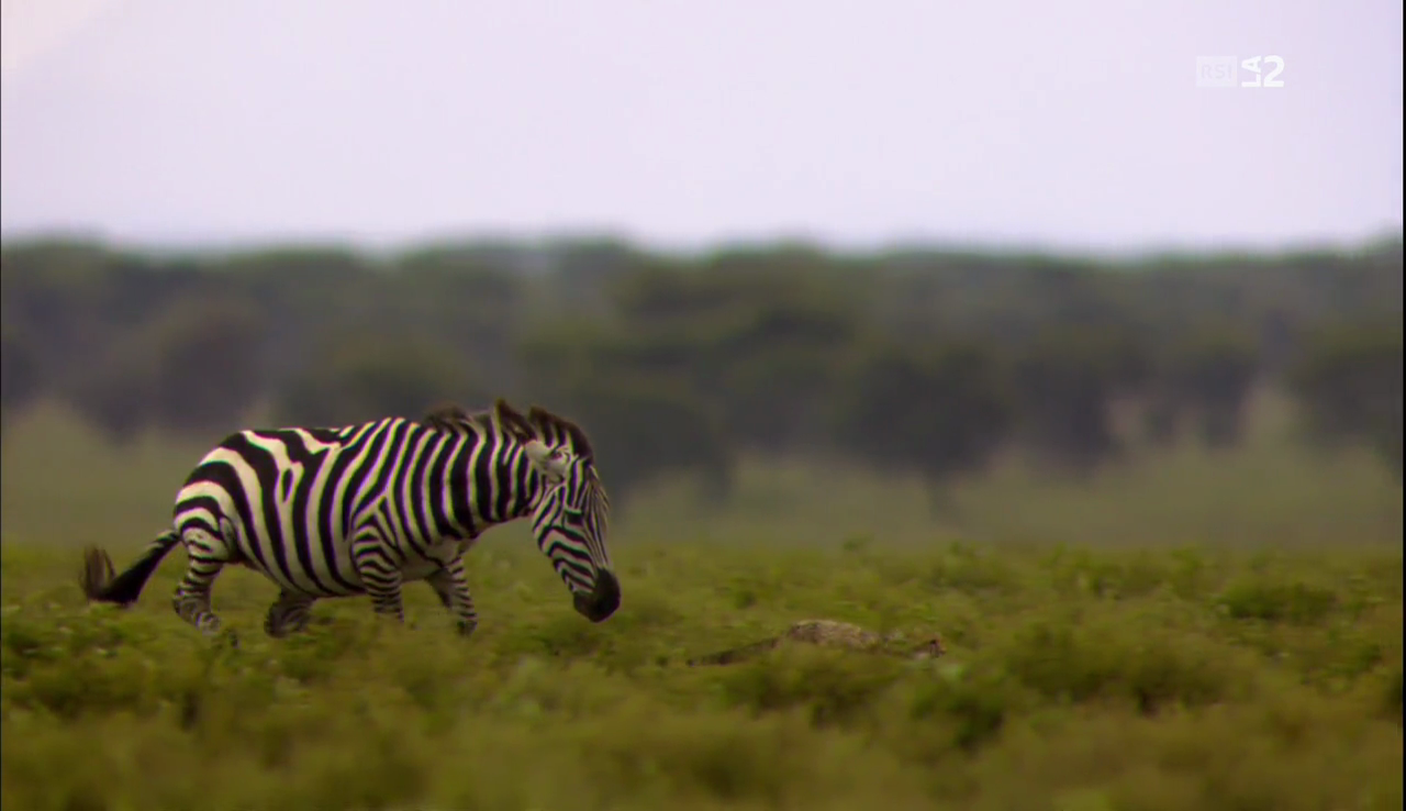 vlcsnap-2016-12-25-18h28m03s145