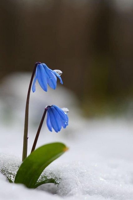 [Image: 2-E2-FB4-CF-6-EB2-476-D-9-BF7-F8-F7-E167-F566.jpg]
