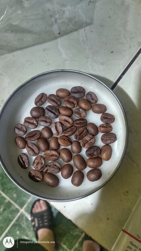 [Image: IMG-20230926-183340520-HDR.jpg]