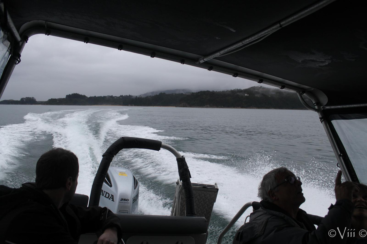 Día 7. Abel Tasman - Nueva Zelanda/Islas Cook - Viaje de novios a la Tierra Media (1)