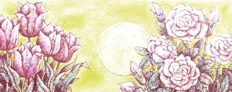 03-6