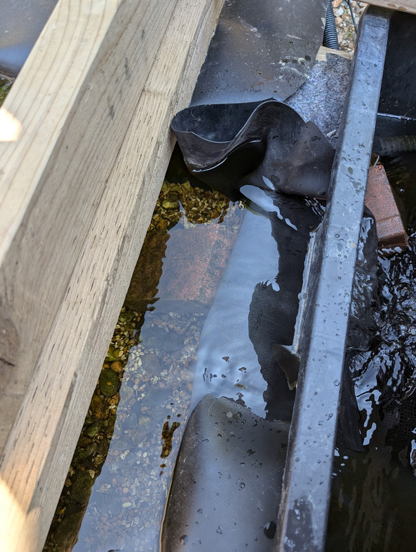 PXL_20240620_094853534