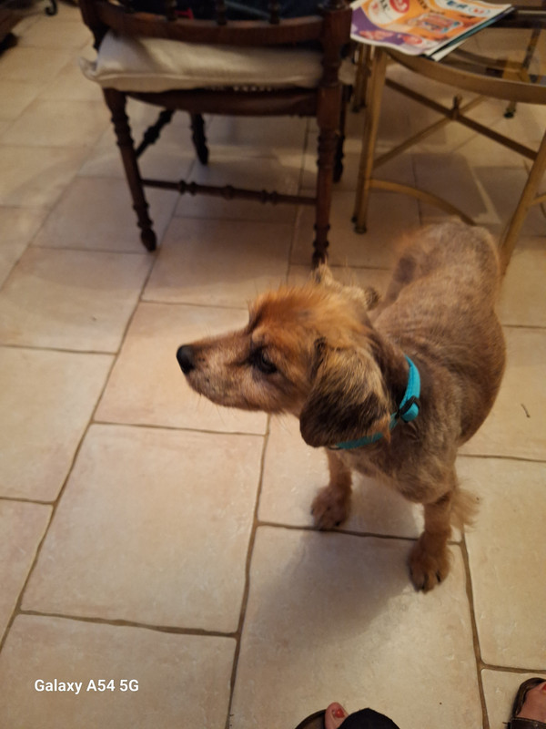 [Image: 20241021-212255.jpg]