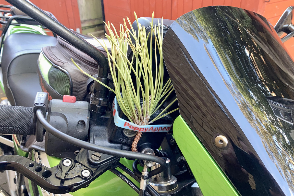 6E280BC3-06F0-4E22-9C31-0D414C9BA4E9