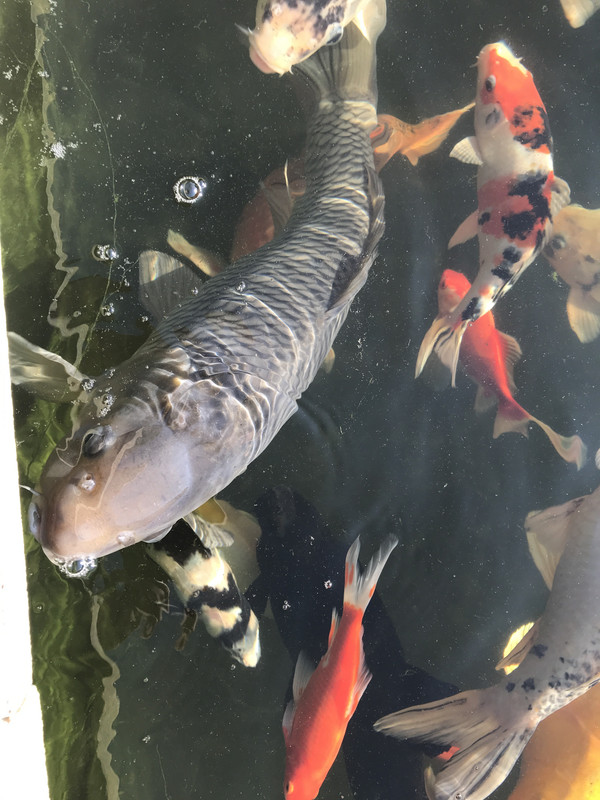 C782AF9B-400C-4123-A96C-D87902D35F16