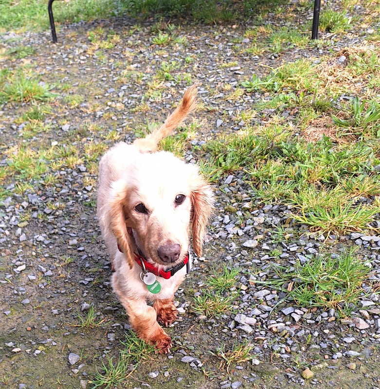 [Image: 20240329-090810.jpg]