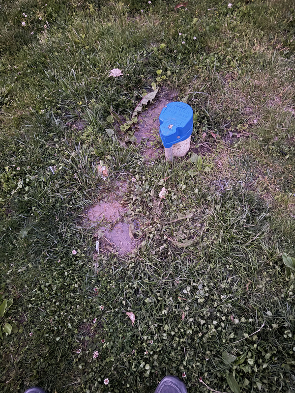 IMG 0096
