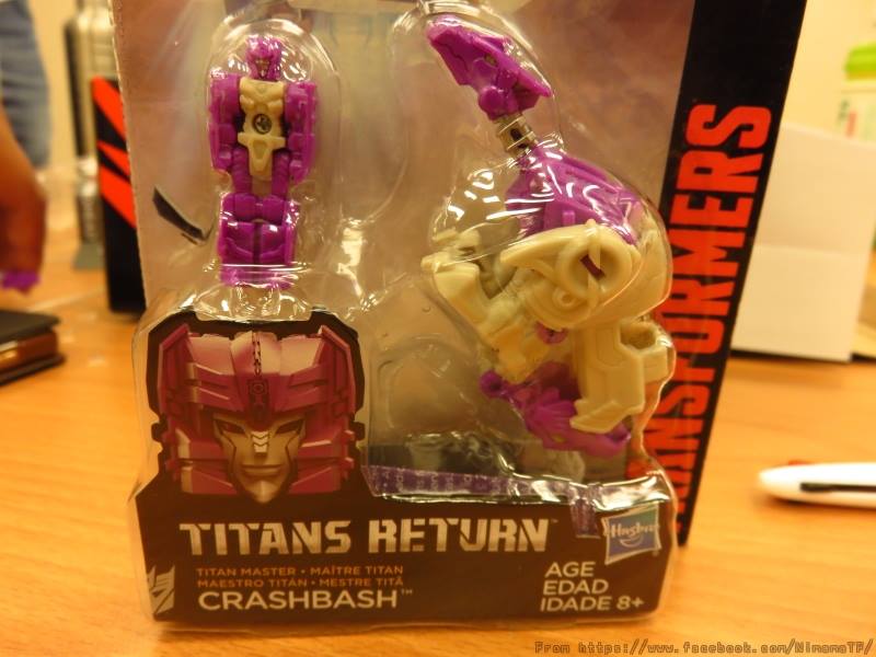 13256435_272531729763928_6210425073566175172_n