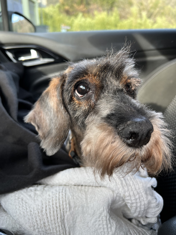 [Image: h1-Krm-Qw-TRa-z-Hi-VMh-Bw-vw.jpg]