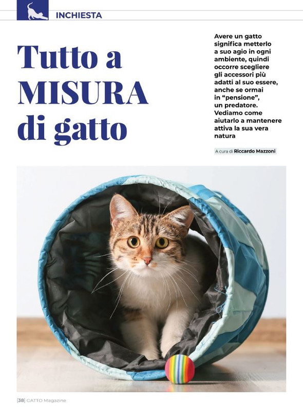 Ga Ma Ago-Set  2021 (7)