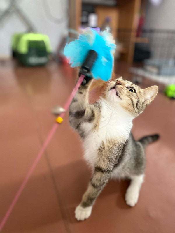 4D41D941-32AC-4315-AEA9-D6B22D4A15FB