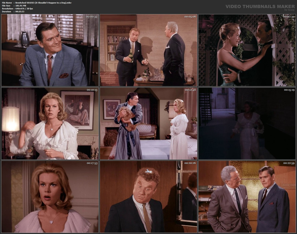 Bewitched S01E03 (It Shouldn't Happen to a Dog).mkv