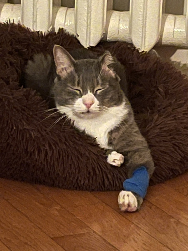 7E1FF929-E42B-41B3-8E6B-9C3595E46D51