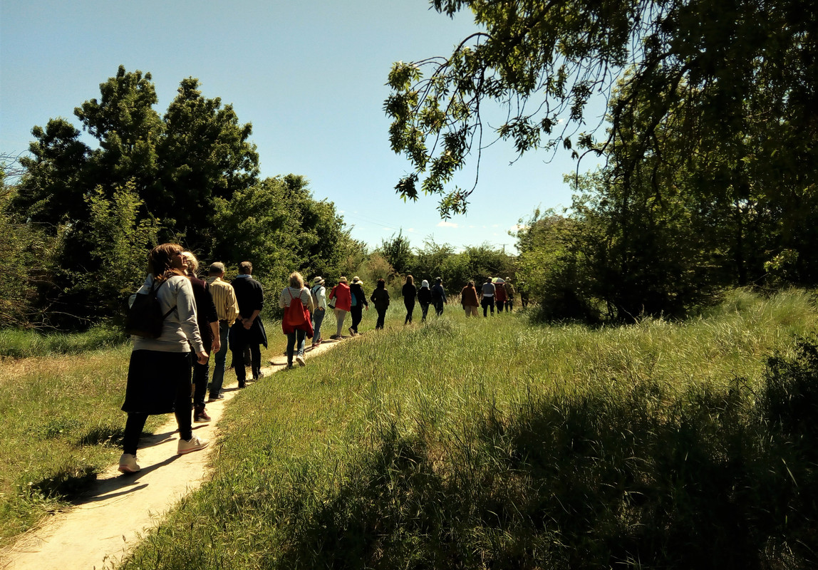 27-5-2019 Galacho Alfocea