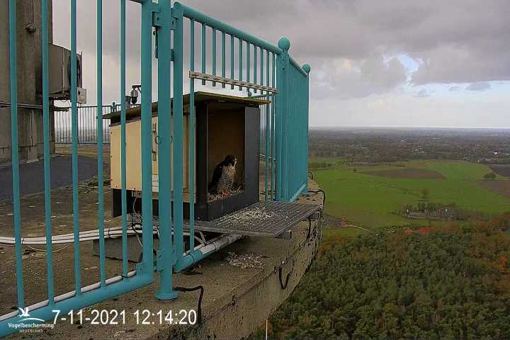 campics vanaf 1 juli © VWGGemert en bonusjes van ter plekke - Pagina 2 M1