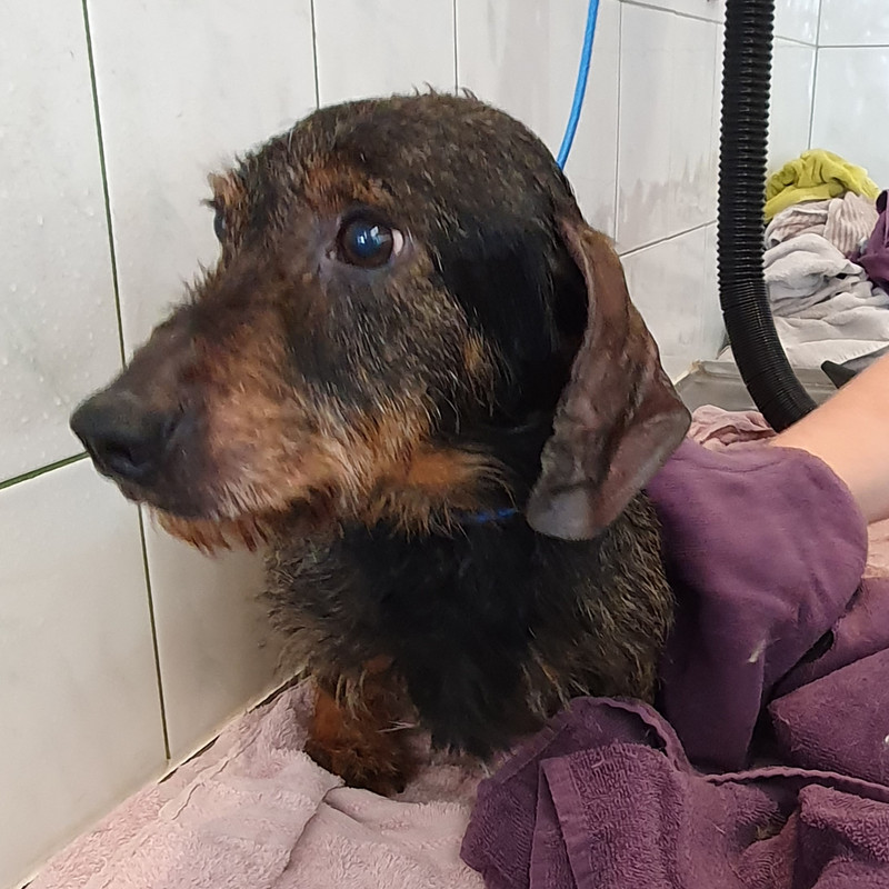 [Image: 20211006-173510.jpg]