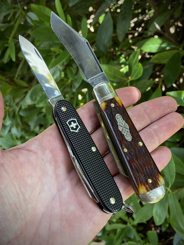 6BBCD8C7-CC93-42ED-8CF5-D09ED9DC2EA9