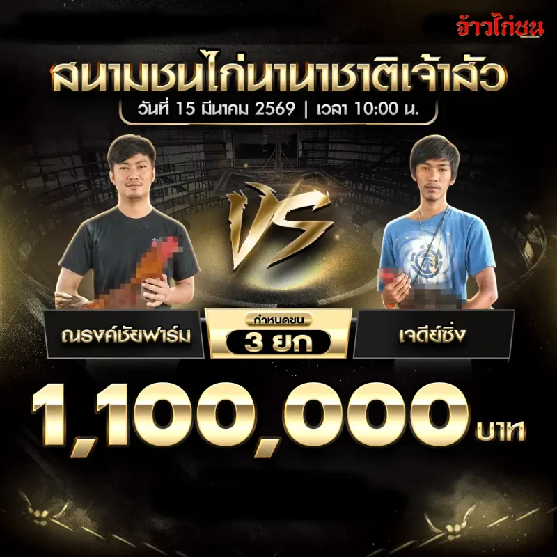 โปรแกรมไก่ชน คู่ ณรงค์ชัยฟาร์ม พบ เจดีย์ซิ่ง สนามชนไก่นานาชาติเจ้าสัว 15 มีนาคม 2569