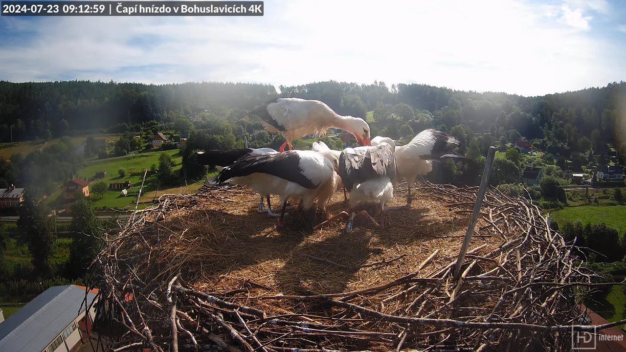 Tiešraidē no uzņēmuma KARA stārķa skursteņa Bohuslavicē pie Trutnovas 9-30-19 screenshot