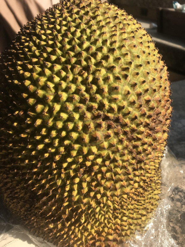 6499D3AE-8DAB-4414-81E9-29E893DD1C8B