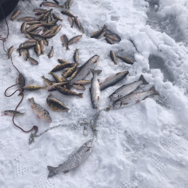 46488700-C700-4D0F-B6D8-22C84D6143A5