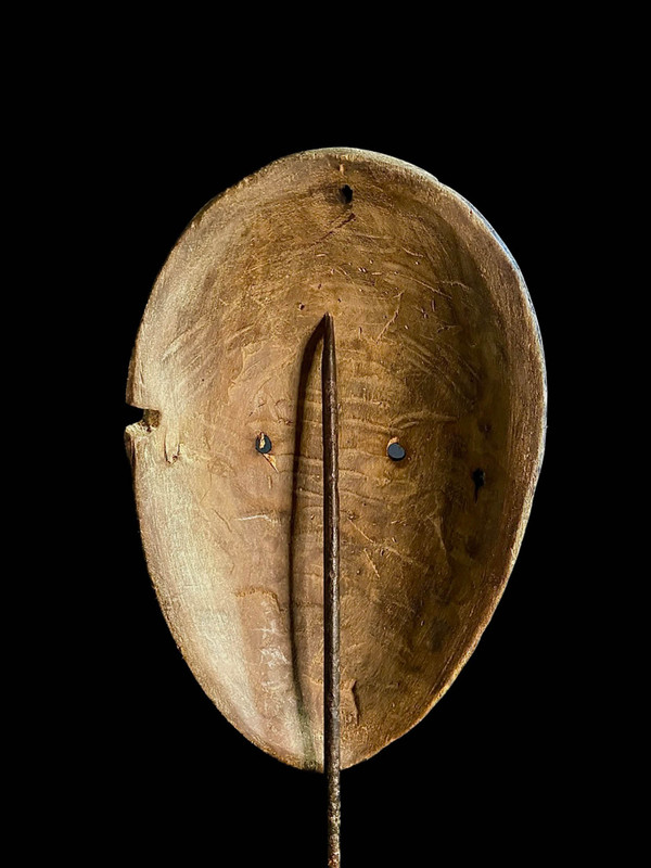 large image 11