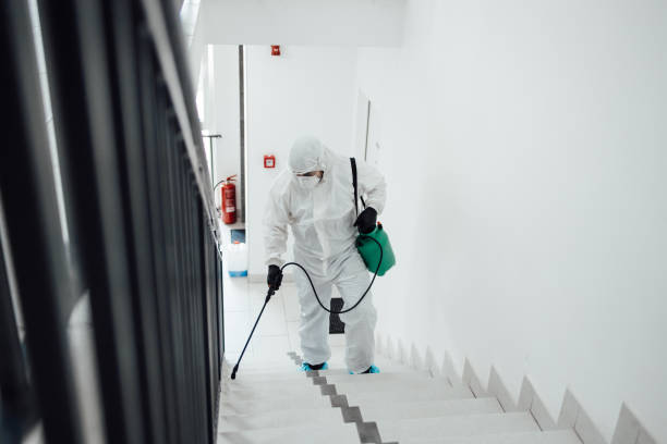 Termite-Treatment-7.jpg