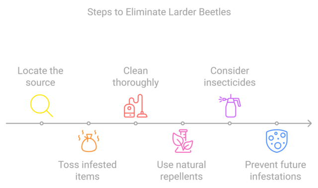 Steps to prevent Larder Beetle