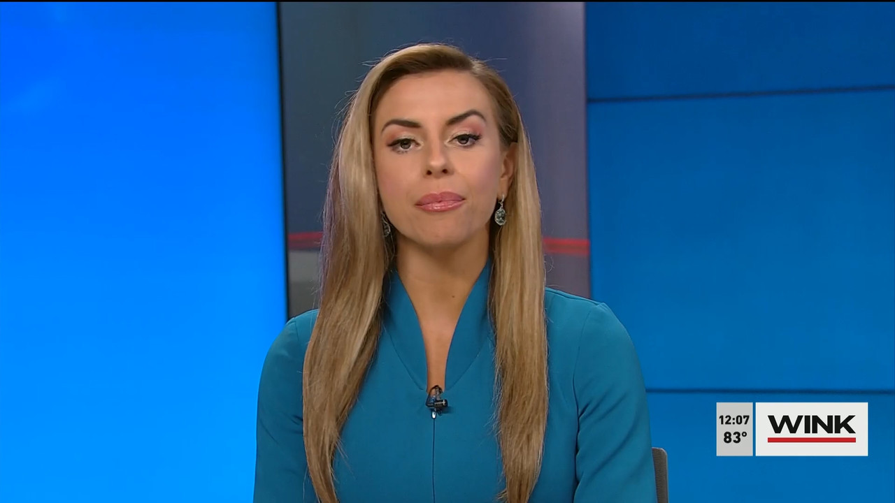 04.14 - 17.00.00 - The WINK Noon News  ᴺᵉʷ. Midday news update..ts_snapshot_13.08.461