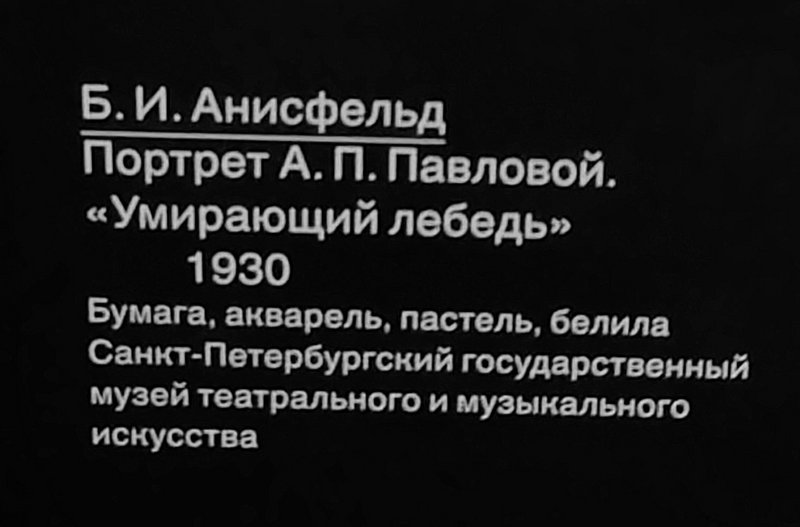 https://i.postimg.cc/qvf40Dm4/178-IMG-20230317-191703.jpg
