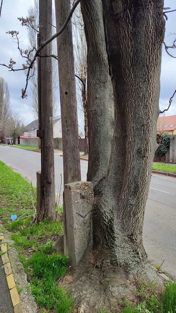 Kép