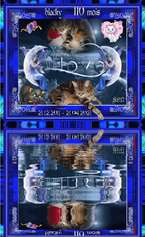 BLACKY-110-MOIS-GIF