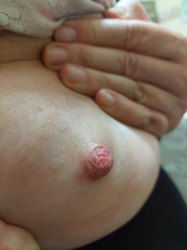 WhatsApp Image 2023-02-26 at 18.34.14