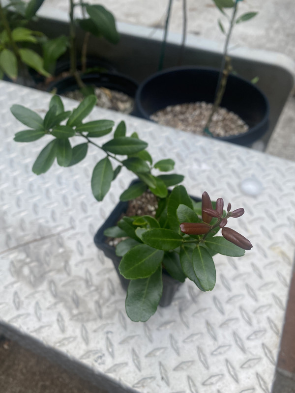 68BBAC54-4964-457A-B515-4AF2FAE6FA8A