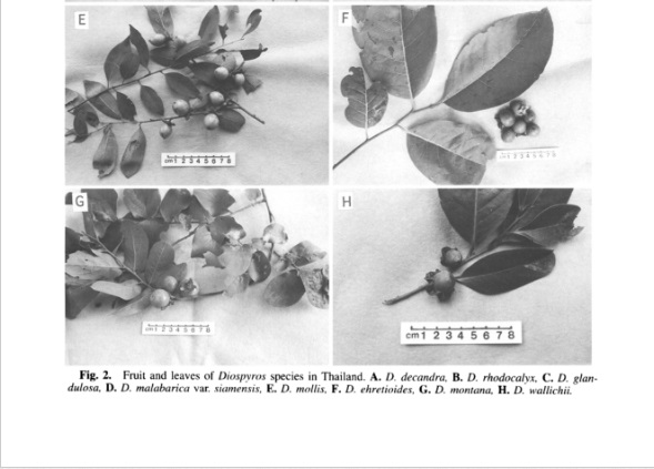 Varieties Part b